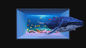 Крытый дисплей СИД 3D экрана дисплея P4.81 P3.91 СИД рекламы 1R1G1B